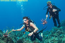 lionfish hunting